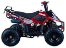 Kids Gas-Powered ATV Quad Bike ATA110 Magic Cars 5