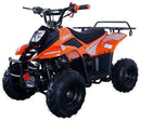 Kids Gas-Powered ATV Quad Bike ATA110 Magic Cars 6