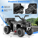 6V Toddler Ride-On ATV with Spray Feature, Remote Control, and Storage Trunk Magic Cars 5