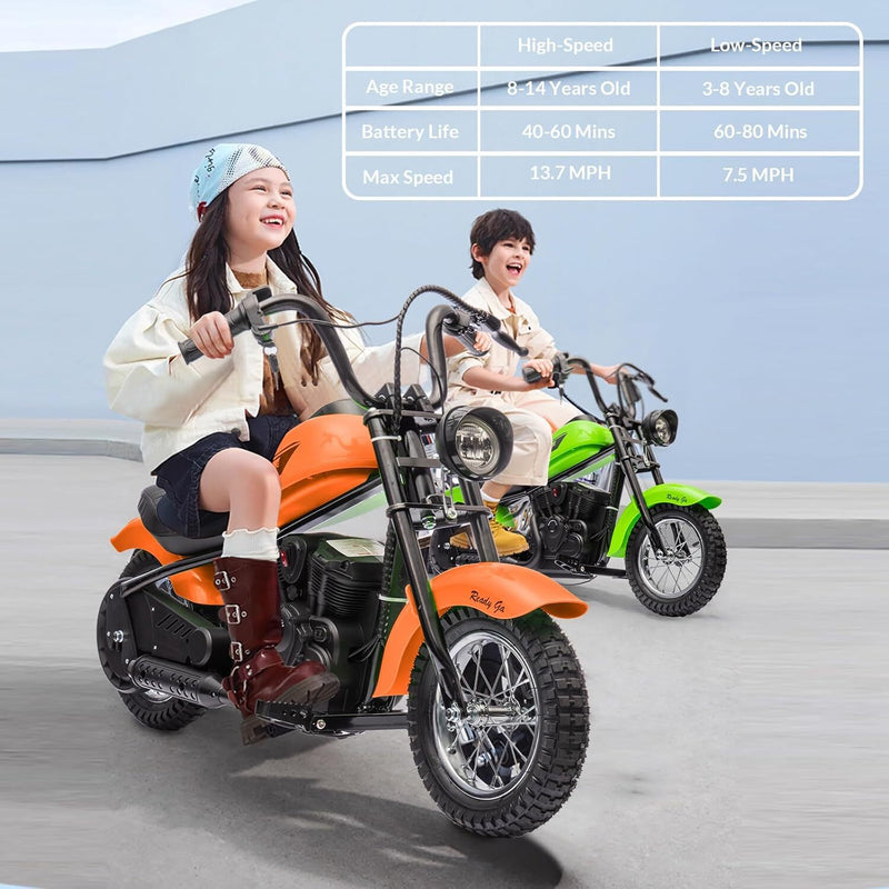 24V Kids Electric Dirt Bike with 300W Motor Ride-On Motorcycle Magic Cars 2