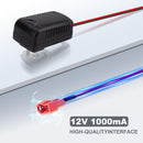 12V Charger for Ride-On Toys with LED Indicator and Overcharge Protection Magic Cars 6