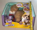 Ouchies Hazel Interactive Plush Poodle Playset Magic Cars 4