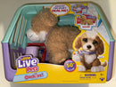 Ouchies Hazel Interactive Plush Poodle Playset Magic Cars 5
