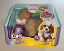 Ouchies Hazel Interactive Plush Poodle Playset Magic Cars Variant 0
