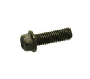 M8-1.25 x 25 Bolt