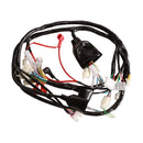 Main Wiring Harness for CSC Bella for CSC Scooters