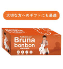 Miffy Bruna Bonbon Musical Ride-On Toy from Japan Magic Cars 8
