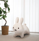 Miffy Bruna Bonbon Musical Ride-On Toy from Japan Magic Cars 9