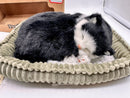 Realistic Breathing Plush Black & White Tuxedo Kitty Cat - 9" Sleeping Pet Magic Cars 1