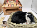 Realistic Breathing Plush Black & White Tuxedo Kitty Cat - 9" Sleeping Pet Magic Cars Variant 0