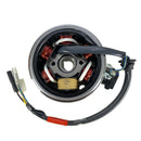 OEM AC Generator Assembly (AC Light) for Genuine Buddy 125