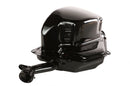 OEM Assembly, Fuel Tank for Genuine Stella Auto
