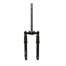 OEM Black Fork Assembly for Genuine Buddy 50
