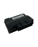 OEM ECU for Genuine Blur 220i - image 3