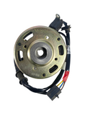 OEM Genuine Rattler 110 Stator / AC Generator Assembly - image 2