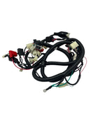 OEM Main Harness Assembly for Genuine Brio 50i