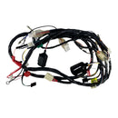 OEM MY2006 Wire Harness for Genuine Buddy 50