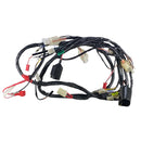 OEM MY2006 Wire Harness for Genuine Buddy 50 - image 2