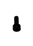OEM NIU Hexagon Socket Head Cap Screw (M5x12) for NIU KQi
