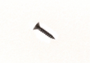 OEM NIU Tapping Screw (9x13) for NIU KQi