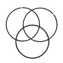 OEM Oil Scraper Ring Comp. for Genuine Buddy 170i/Hooligan