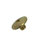 OEM Pan Screw M6x6 for Royal Alloy GT150