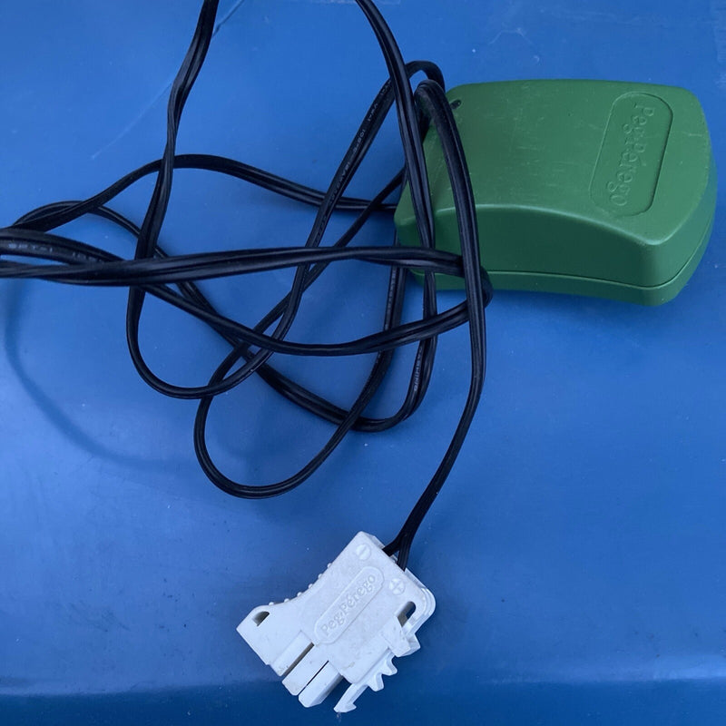 6V Green Battery Charger with AC Adapter for Thomas Train by Peg Perego Magic Cars Variant 0