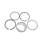 OEM Piston Ring Set for Std., Stella 4T - image 2