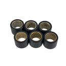 OEM Roller Weight Set 6 Pieces for Genuine Venture 50