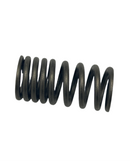 OEM Valve Spring for Genuine Buddy Kick 125
