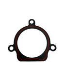 OEM Water Pump Gasket for Genuine Venture