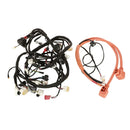 OEM Wire Harness Assembly for NIU MQi GT