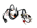 OEM Wire Harness Assembly for NIU NQi Sport