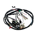 OEM Wire Harness, Buddy 125, 2006