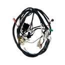 OEM Wire Harness, Buddy 125, 2006 - image 2