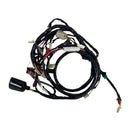 OEM Wire Harness, Buddy 150