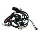 OEM Wire Harness for Genuine Rattler 125