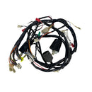 OEM Wire Harness for Genuine Scooters