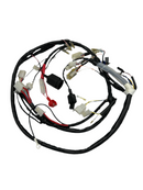 OEM Wire Harness, Rattler 110