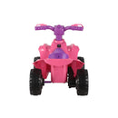 Battery-Powered 6V Electric Quad with Skye Graphics for Ages 2+ Magic Cars 7