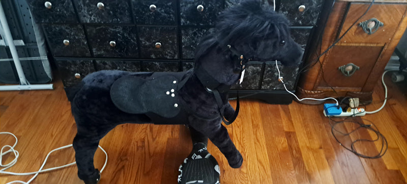 Black Power Pony Ride-On Horse Toy Magic Cars 1