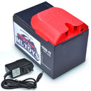 Power Wheels 12 Volt 15Ah Extended Runtime Upgrade Battery with Charger Magic Cars Variant 0