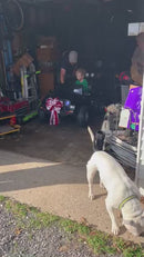 Cars For Kids Jeep Style 4x4 Monster Truck W/Rubber Tires 24 Volt