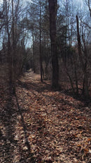 2 Seater 24 Volt 4x4 Electric Ride On Jeep Style Rubber Tires Fully Loaded Truck ATV UTV For Kids W/Magic Cars® Wireless Parental Control