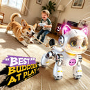 Remote Control Stunt Robot Cat Toy for Kids Ages 5-12, 2.4GHz Magic Cars 2