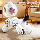 Remote Control Stunt Robot Cat Toy for Kids Ages 5-12, 2.4GHz Magic Cars 4