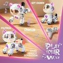 Remote Control Stunt Robot Cat Toy for Kids Ages 5-12, 2.4GHz Magic Cars 5