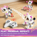 Remote Control Stunt Robot Cat Toy for Kids Ages 5-12, 2.4GHz Magic Cars 6