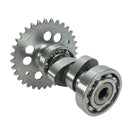 RDLN Performance Camshaft A9 for GY6 150cc