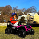 12V Kids Electric Ride-On UTV Car Toy Magic Cars Variant 0